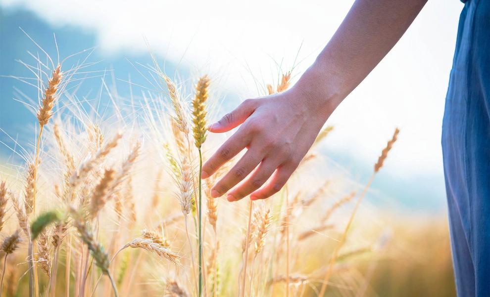 حس هفتم انسان