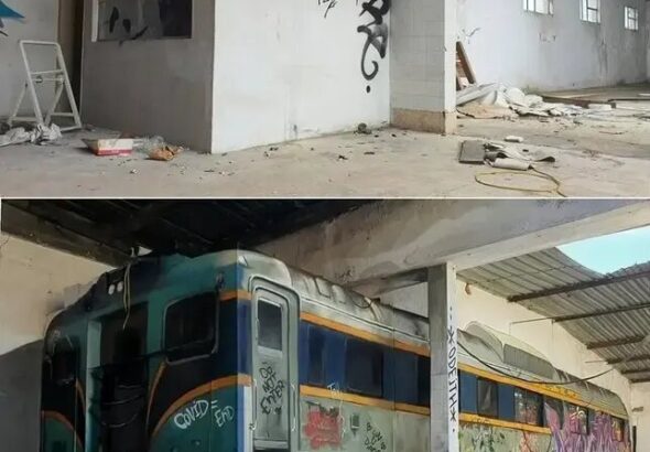 شاهکارهای سه‌بعدی نقاش پرتغالی,