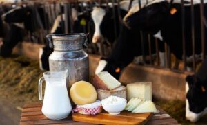 محصولات لبنی و سلامت انسان؛ خوب یا بد؟